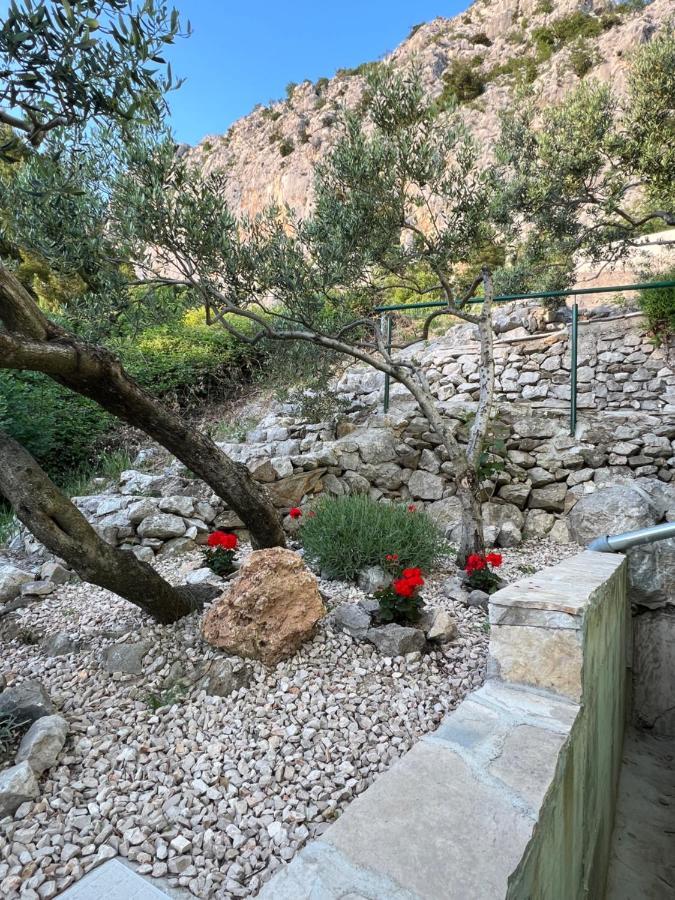 Villa Pelargonia Makarska Exterior foto